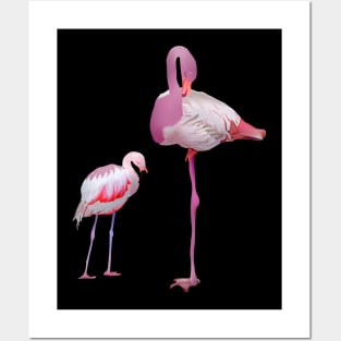 Flamingo Bird Posters and Art